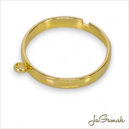 Základ na prsteň s krúžkom CHIRURGICKÁ OCEĽ (ch1732g)